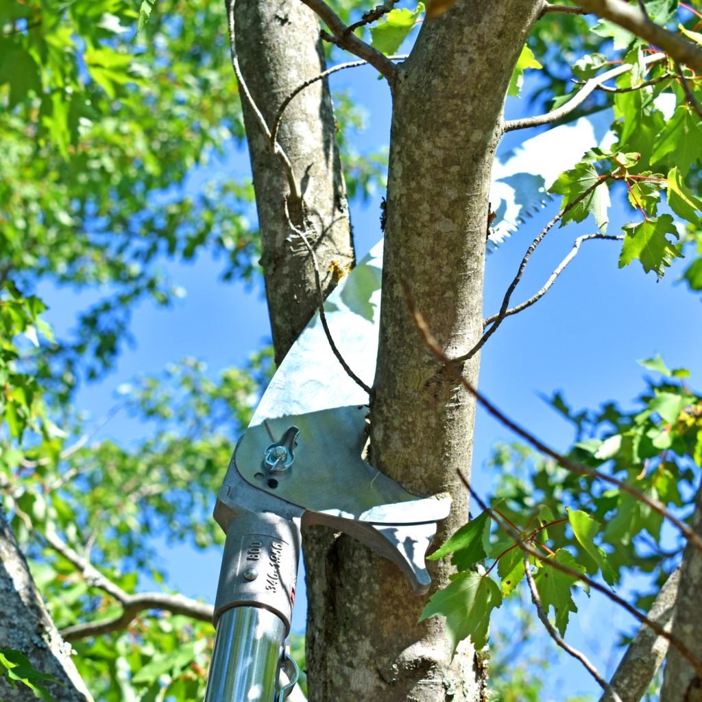 DoubleHook Pole Saw Head Kit, 16" Jameson Tools PS3FPK16DH