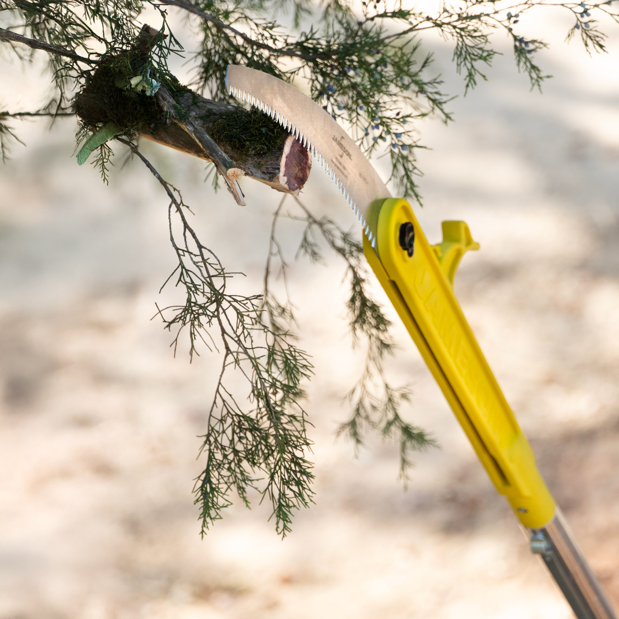 JAMESON_Tree-Care-Tools_BL-6PKG-8-Photo_Application-4