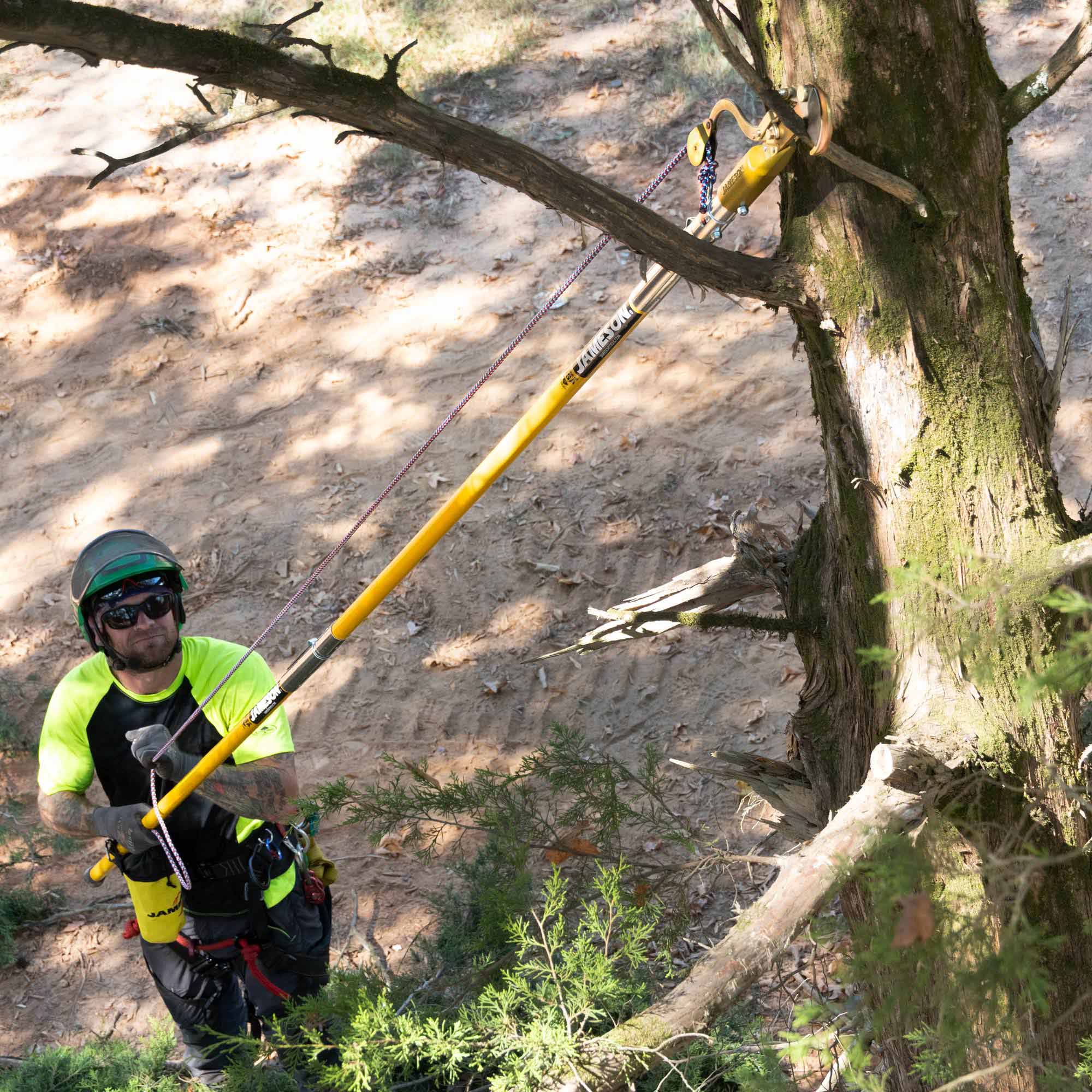 JAMESON_Tree-Care-Tools_FG-6PKG-1_Photo_Application-2