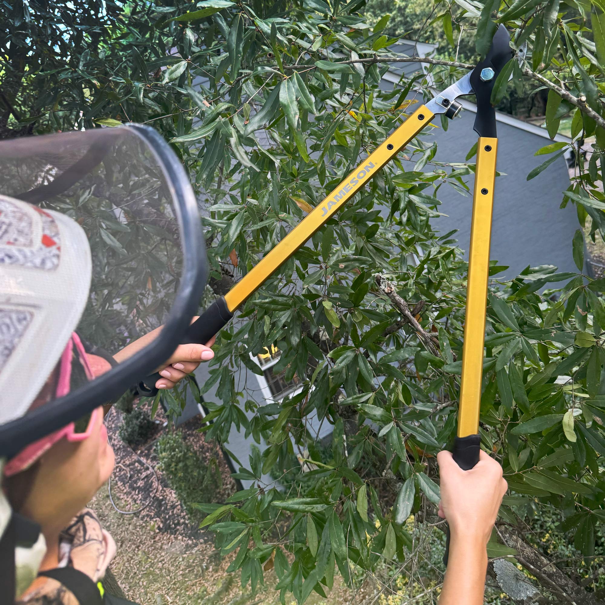 JAMESON_Tree-Care-Tools_HL-BP203_Photo_Arbor-3