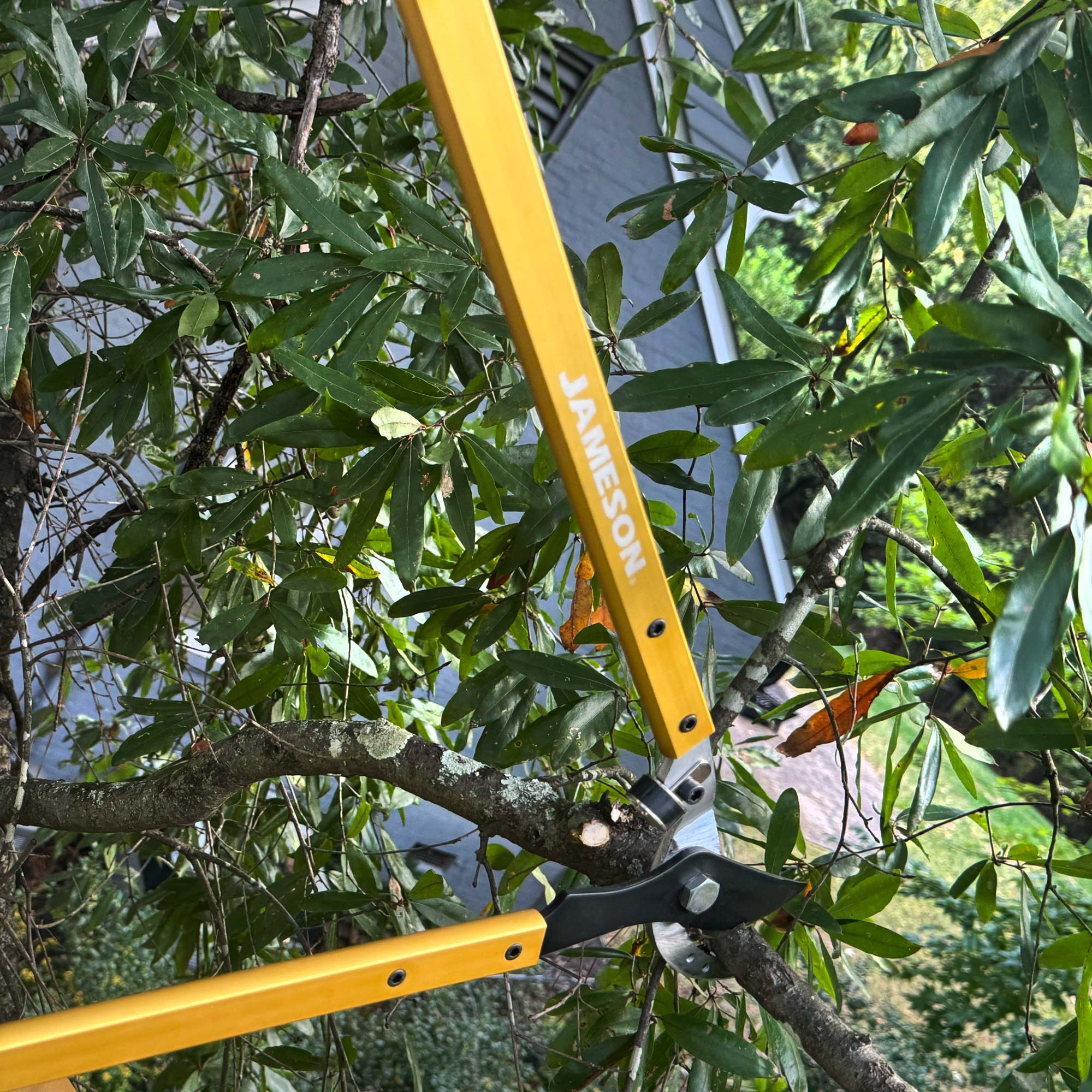 JAMESON_Tree-Care-Tools_HL-BP203_Photo_Arbor-4