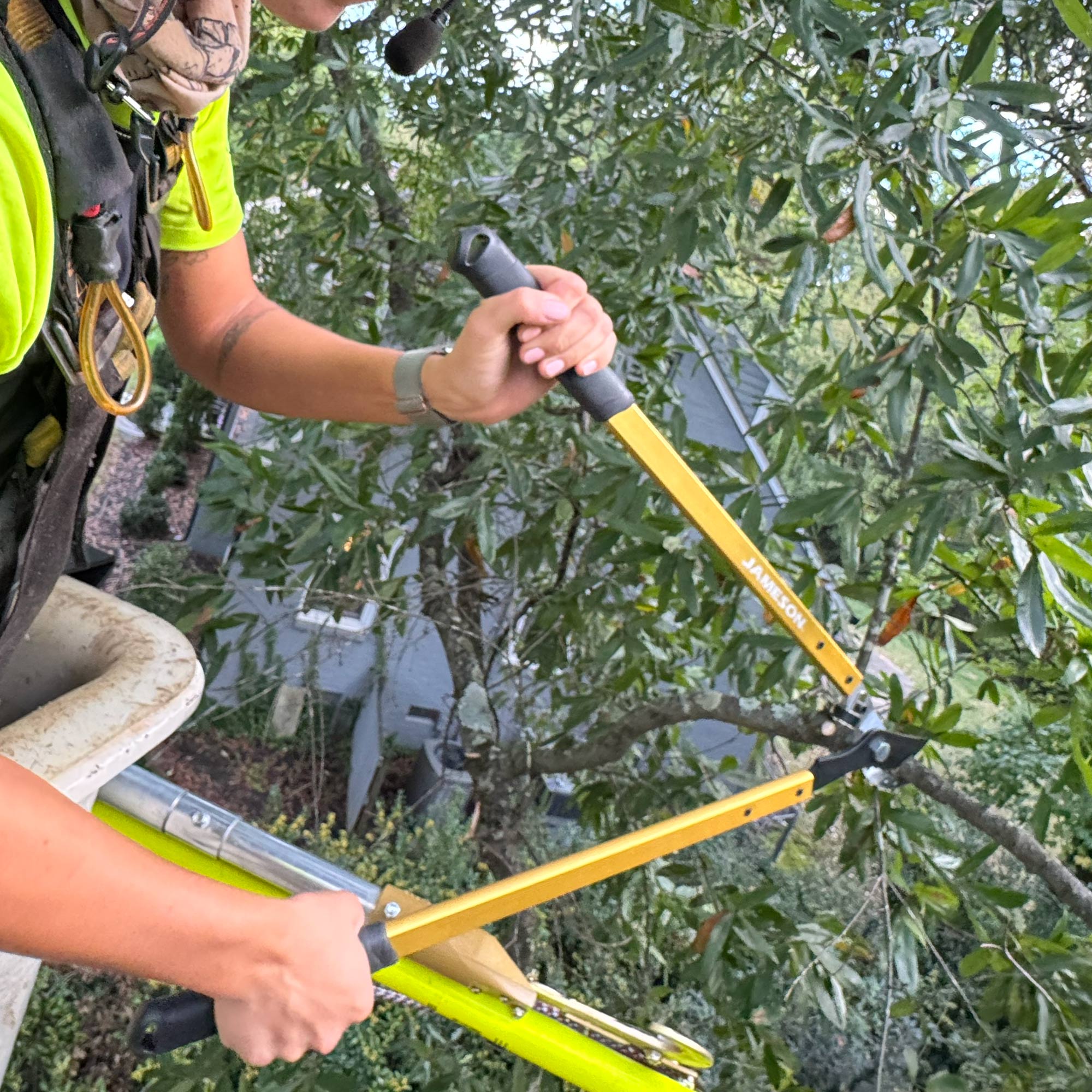 JAMESON_Tree-Care-Tools_HL-BP203_Photo_Arbor-5