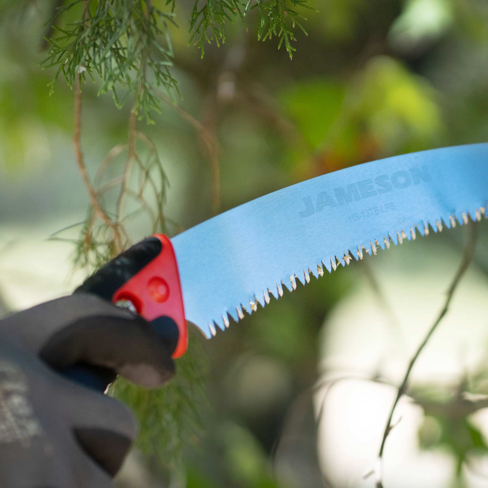 JAMESON_Tree-Care-Tools_HS-13TE-LPS_Photo_Application_1