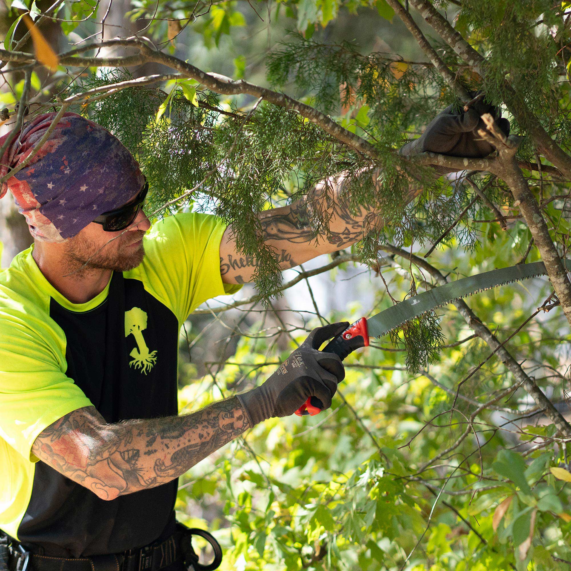 JAMESON_Tree-Care-Tools_HS-13TE-LPS_Photo_Application_2