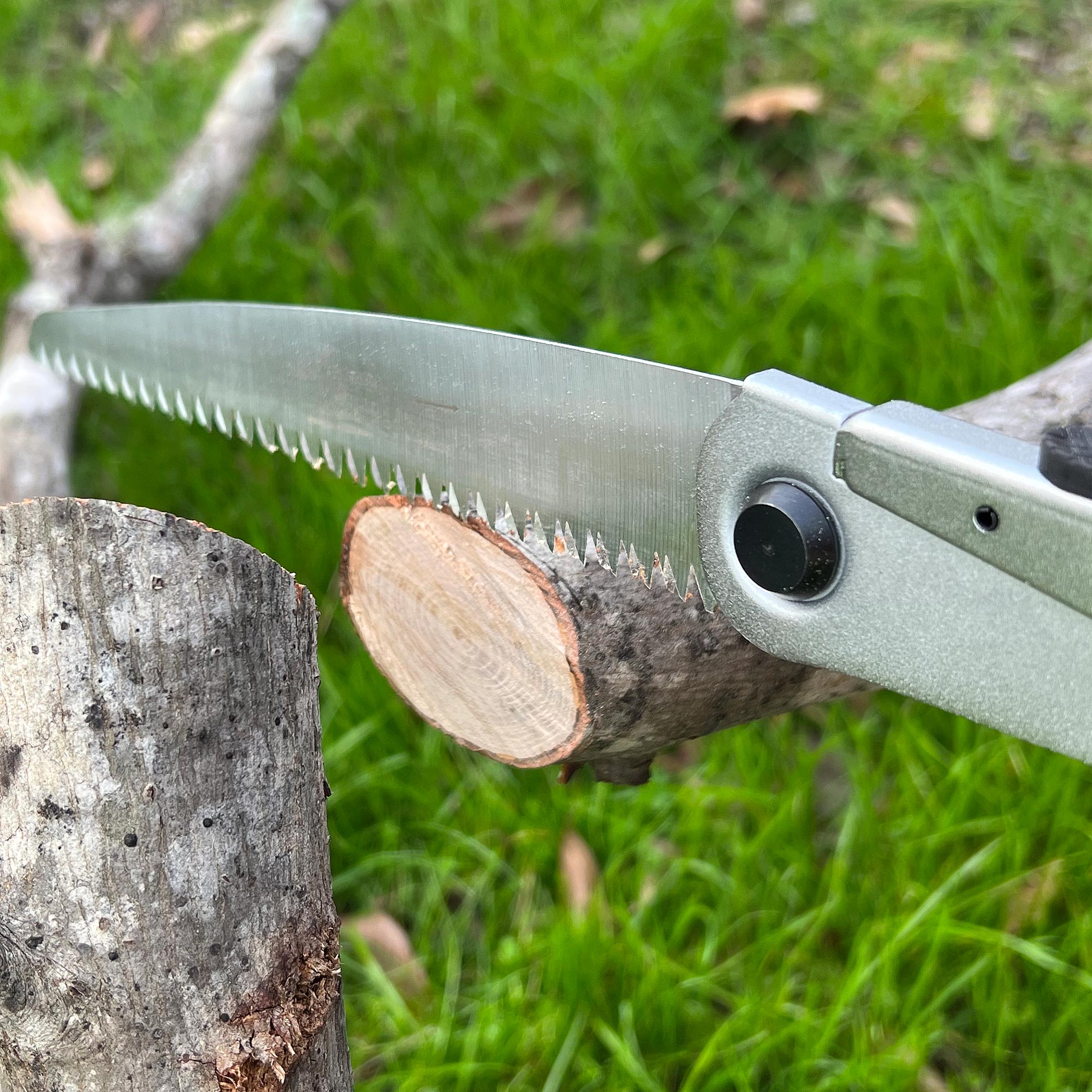 JAMESON_Tree-Care-Tools_SB-8TE-FLB_Photo-10