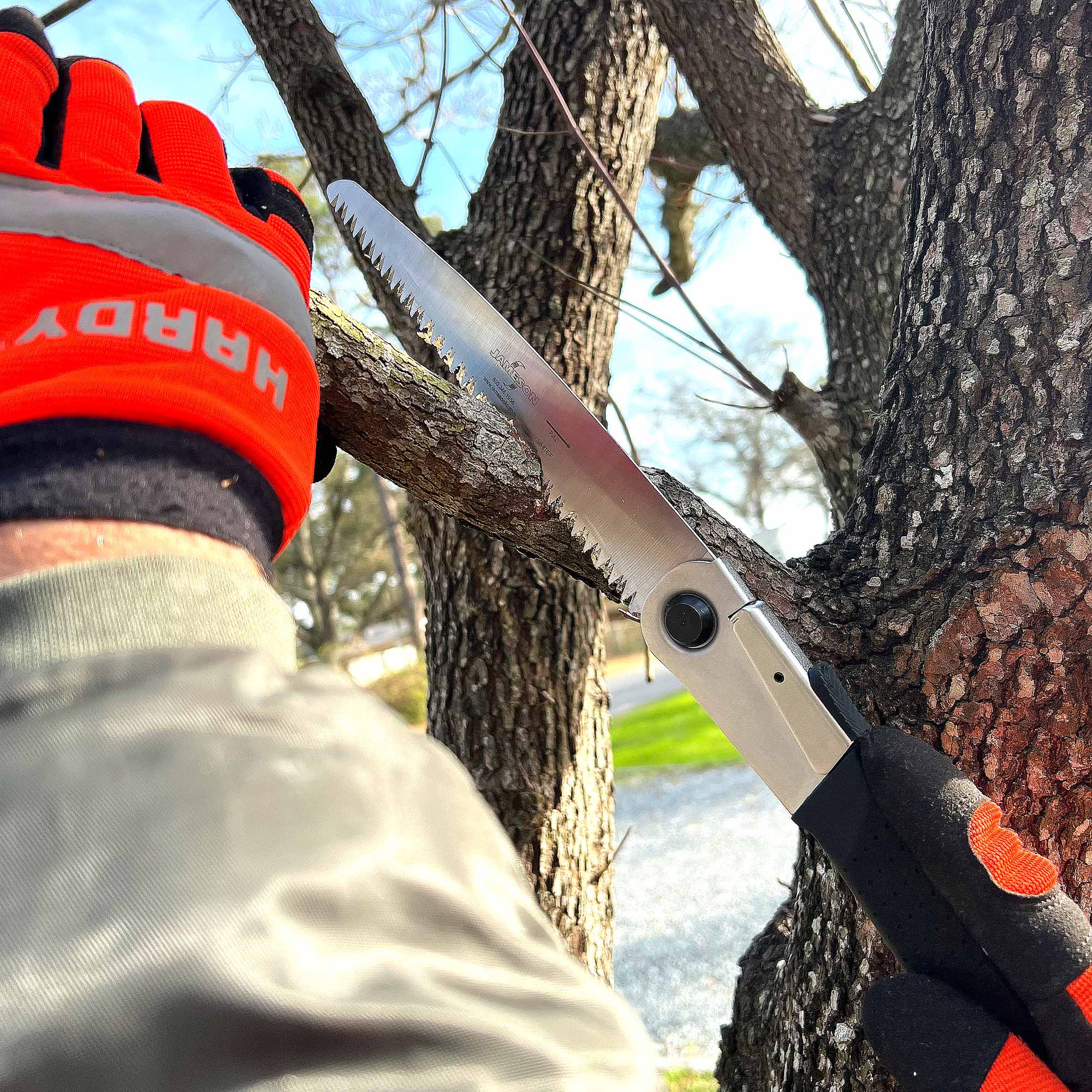 JAMESON_Tree-Care-Tools_SB-8TE-FLB_Photo-9
